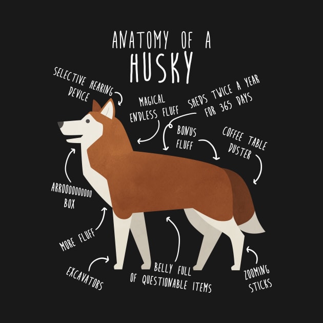 Red Siberian Husky Dog Anatomy by Psitta