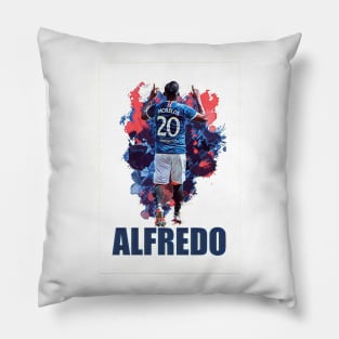 The Colombian Buffalo Pillow