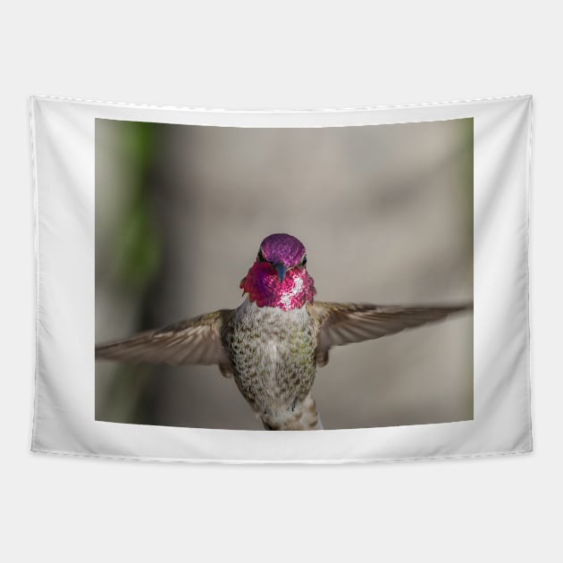 Anna's Hummingbird Tapestry by MCHerdering