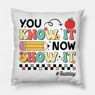 Groovy You Know It Now Show It Testing Day  Kids Funny Pillow