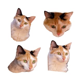 cats stickers T-Shirt