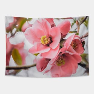 Flowering-Quince Blossom Photograph Tapestry