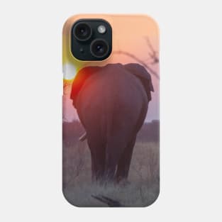 African Elephant in the sunset in Botswana Phone Case