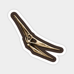 Pteranodon Ingens Skull Magnet