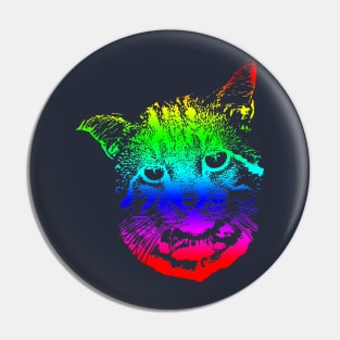 Rainbow Cat Design Pin