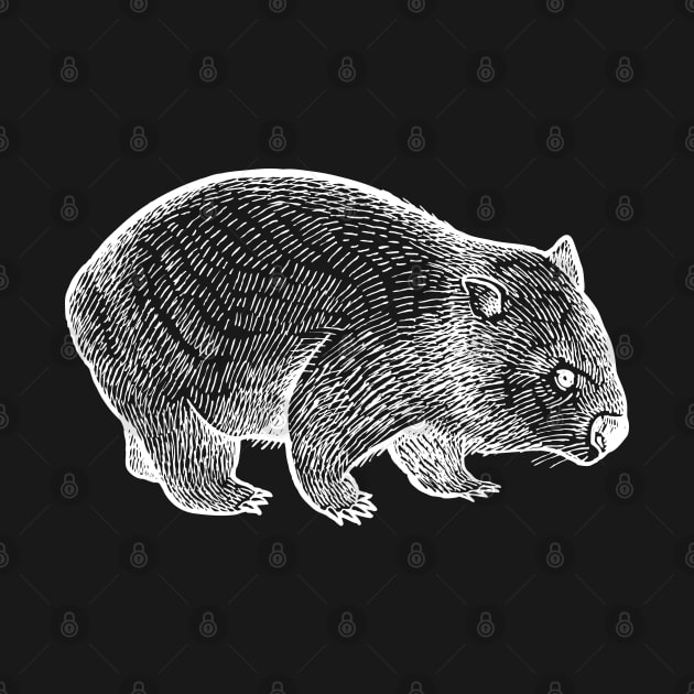 Wombat 01 by ravenwaldo168375