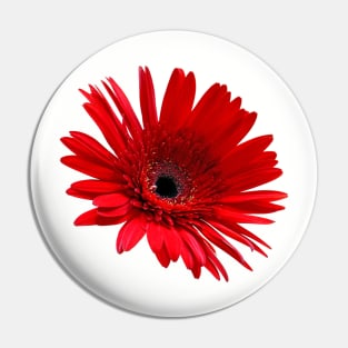 Red flower Pin