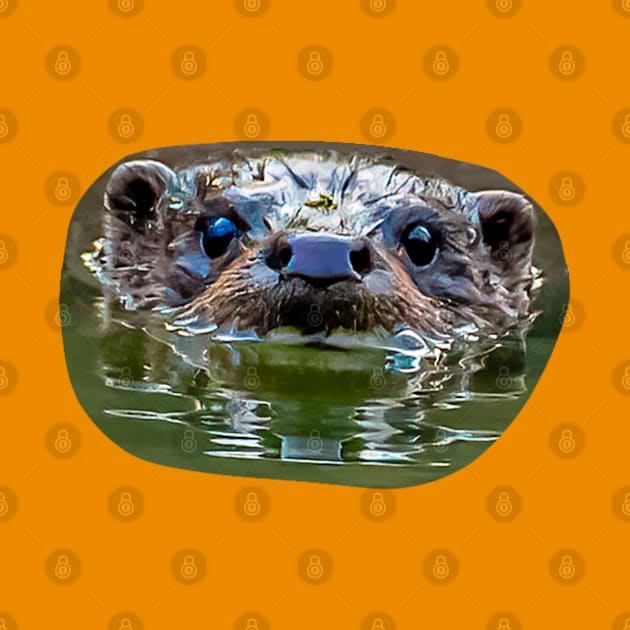 Face of a European Otter by dalyndigaital2@gmail.com