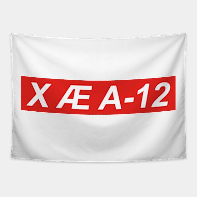 X Ae A 12 Elon Musk Son Meme Elon Musk Tapestry Teepublic