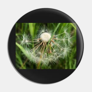 Dandelion Poof: Make-a-Wish for All Eternity Pin