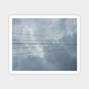 Birds on a wire Magnet