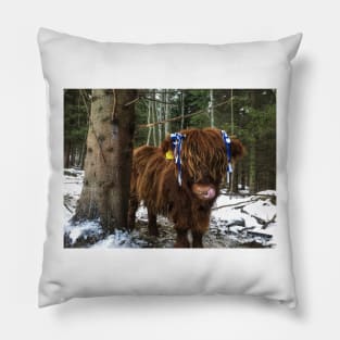 Scottish Highland Cattle Calf 1859 Pillow