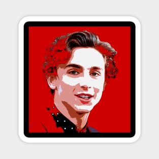 timothee chalamet Magnet