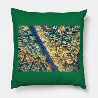 Road through colorful autumn forest Pillow