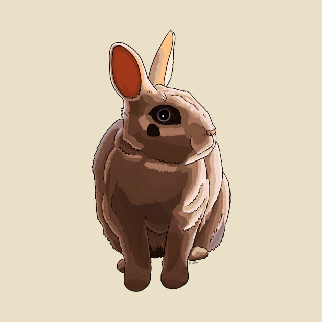 Dwarf Hotot Rabbit by EcoElsa