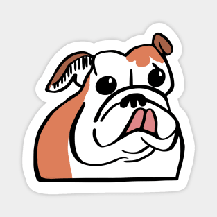 English Bulldog with Tongue Sticking Out Magnet