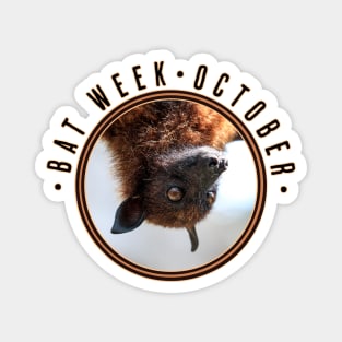 Bat Week, flying fox Magnet