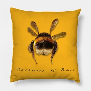 Bucaneers of Buzz Pillow