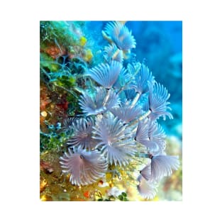 Social Feather Duster Anemone on Coral Reef T-Shirt