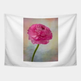 Soft pink Textured Ranunculus Tapestry