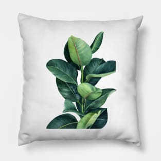 Ficus Plant Illustration Pillow