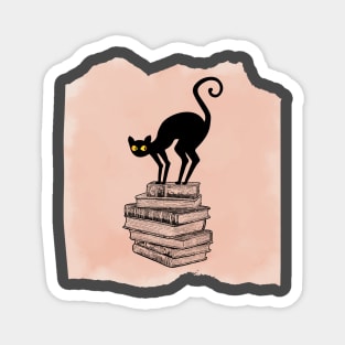 Spooky Cat on Books Pile Magnet