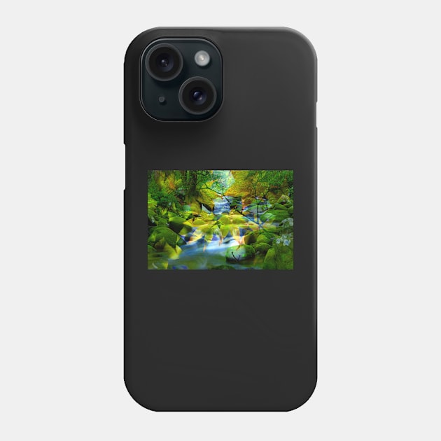 Mountain stream Phone Case by dltphoto