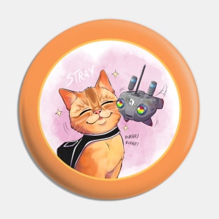 A Stray cat with his bot friend Pin