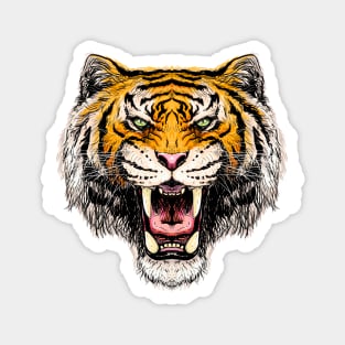 Roaring Tiger Magnet