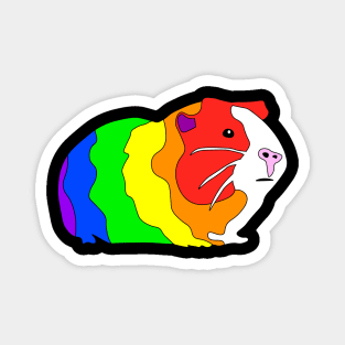 Rainbow Guinea Pig Magnet