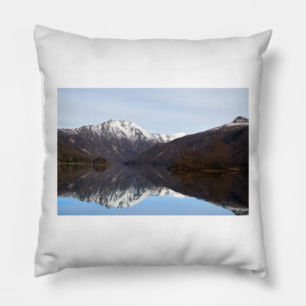 850_2881 Pillow by wgcosby