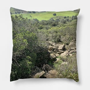 View in the Mountain Pillow