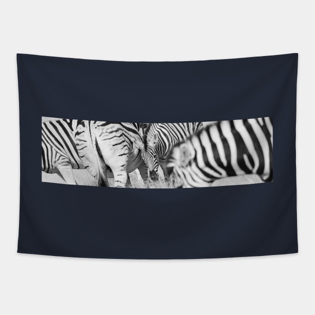 Zebra herd oblong black and white stripe full frame. Tapestry by brians101