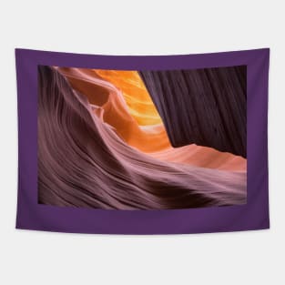 canyon 4 Tapestry