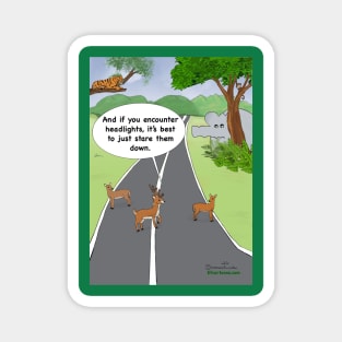 Deer Lessons Magnet