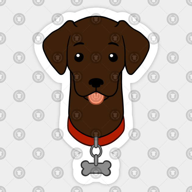 cartoon illustrated chocolate labrador retriever with dog labrador retriever size and weight chart