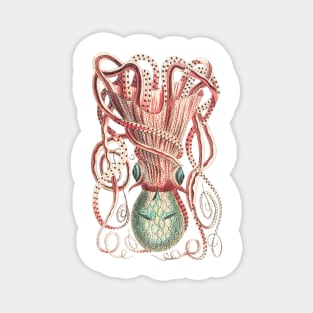 Cthulhu octopus Magnet