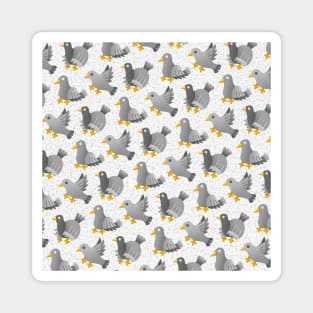 Rock Pigeons Magnet