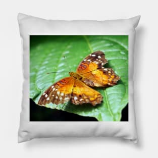 Orange Spotted Butterfly Pillow