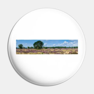 Panorama of heathland with trees early in the morning Pin