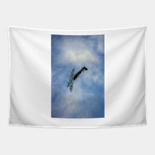 Freedom of the Skies Tapestry