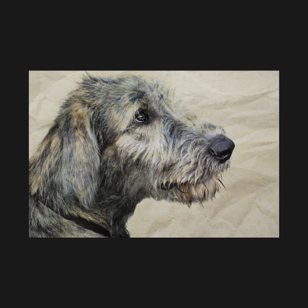 Irish Wolfhound Puppy by LaurieMinor