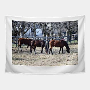 Grazing in the Sun Tapestry