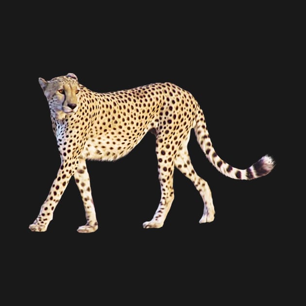 Cheetah - Big Cat - Predator - Africa by T-SHIRTS UND MEHR