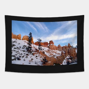 Bryce Canyon Tapestry