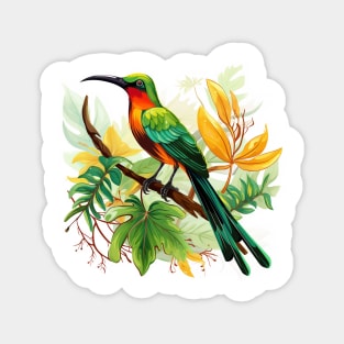 Sunbird Magnet