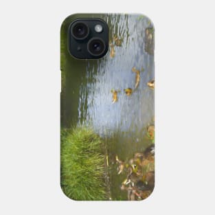 Ducks on the lake Phone Case