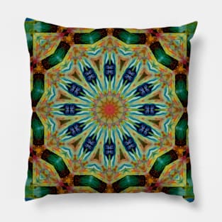 Peacock Spin Pillow