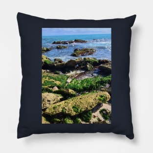 Seaweed covered rocks on the shore Pillow