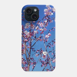 Cherry Blossom Branches Phone Case